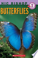 Butterflies cover