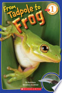 From Tadpole to Frog cover