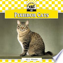 Pixiebob Cats cover