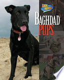 Baghdad Pups cover