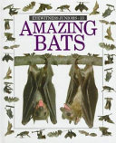 Amazing Bats cover