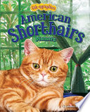 American Shorthairs: Pioneers cover