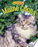 Maine Coons: Super Big cover