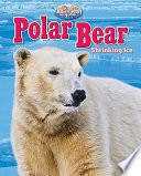 Polar Bear: Shrinking Ice cover