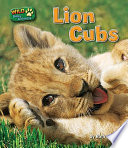 Lion Cubs cover