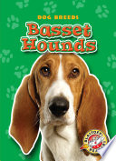 Basset Hounds cover