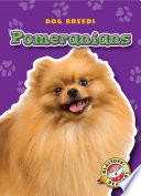 Pomeranians cover