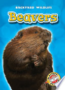 Beavers cover