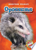 Opossums cover