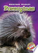 Porcupines cover