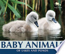 Baby Animals of Lakes and Ponds cover