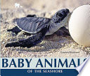 Baby Animals of the Seashore cover