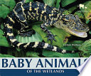 Baby Animals of the Wetlands cover