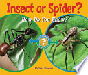 Insect or Spider? How Do You Know? cover