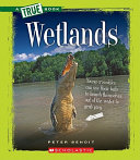 Wetlands cover