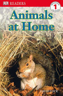 Animals at Home cover