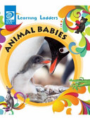 Animal Babies cover
