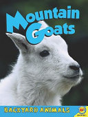 Mountain Goats (Weigl) cover