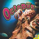 Octopus cover