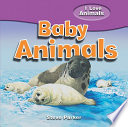 Baby Animals cover