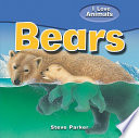 Bears cover