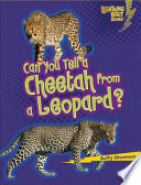 Can You Tell a Cheetah from a Leopard? cover
