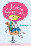 Blowout cover