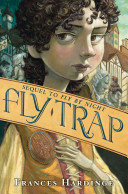 Fly Trap cover