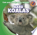 Baby Koalas cover