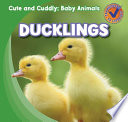 Ducklings cover