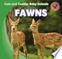 Fawns cover