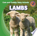 Lambs cover
