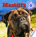 Mastiffs cover