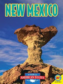 New Mexico (2012) cover