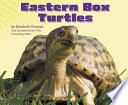 Eastern Box Turtles cover