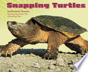 Snapping Turtles cover