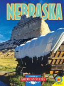 Nebraska (2012) cover