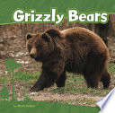 Grizzly Bears (Bears) cover