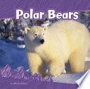 Polar Bears cover