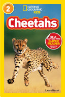 Cheetahs cover