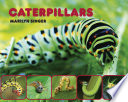 Caterpillars cover