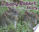 A Baby Rabbit Story cover