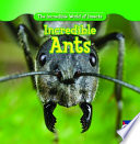 Incredible Ants cover