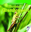 Incredible Grasshoppers cover