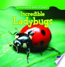 Incredible Ladybugs cover