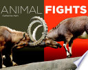 Animal Fights cover