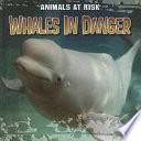 Whales in Danger cover