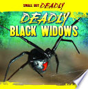 Deadly Black Widows cover