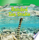 Banded Sea Snake cover