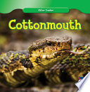 Cottonmouth cover